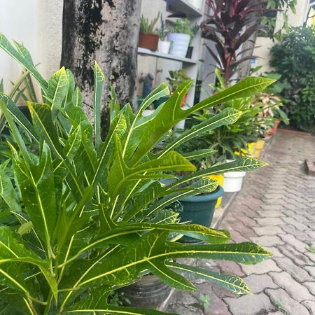 Bed and Breakfast L&J Modern Backpackers Kinondoni Daressalam Exterior foto