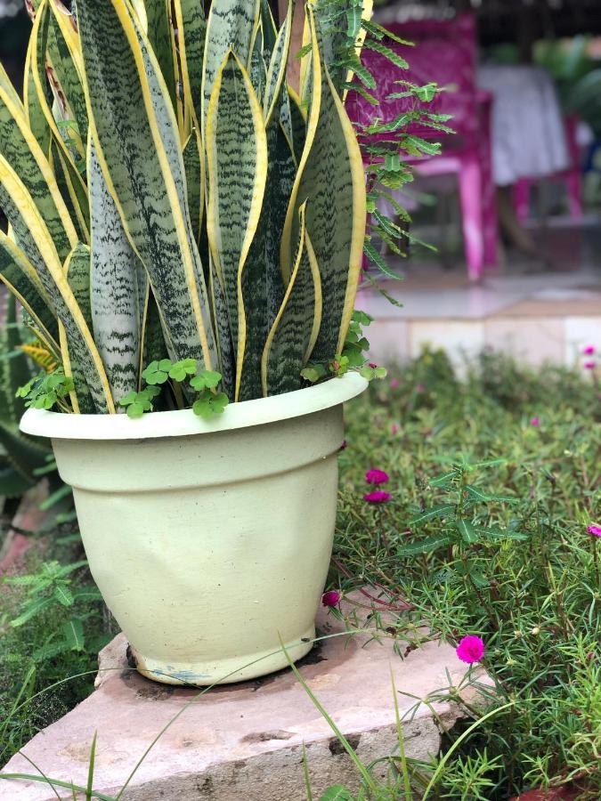 Bed and Breakfast L&J Modern Backpackers Kinondoni Daressalam Exterior foto