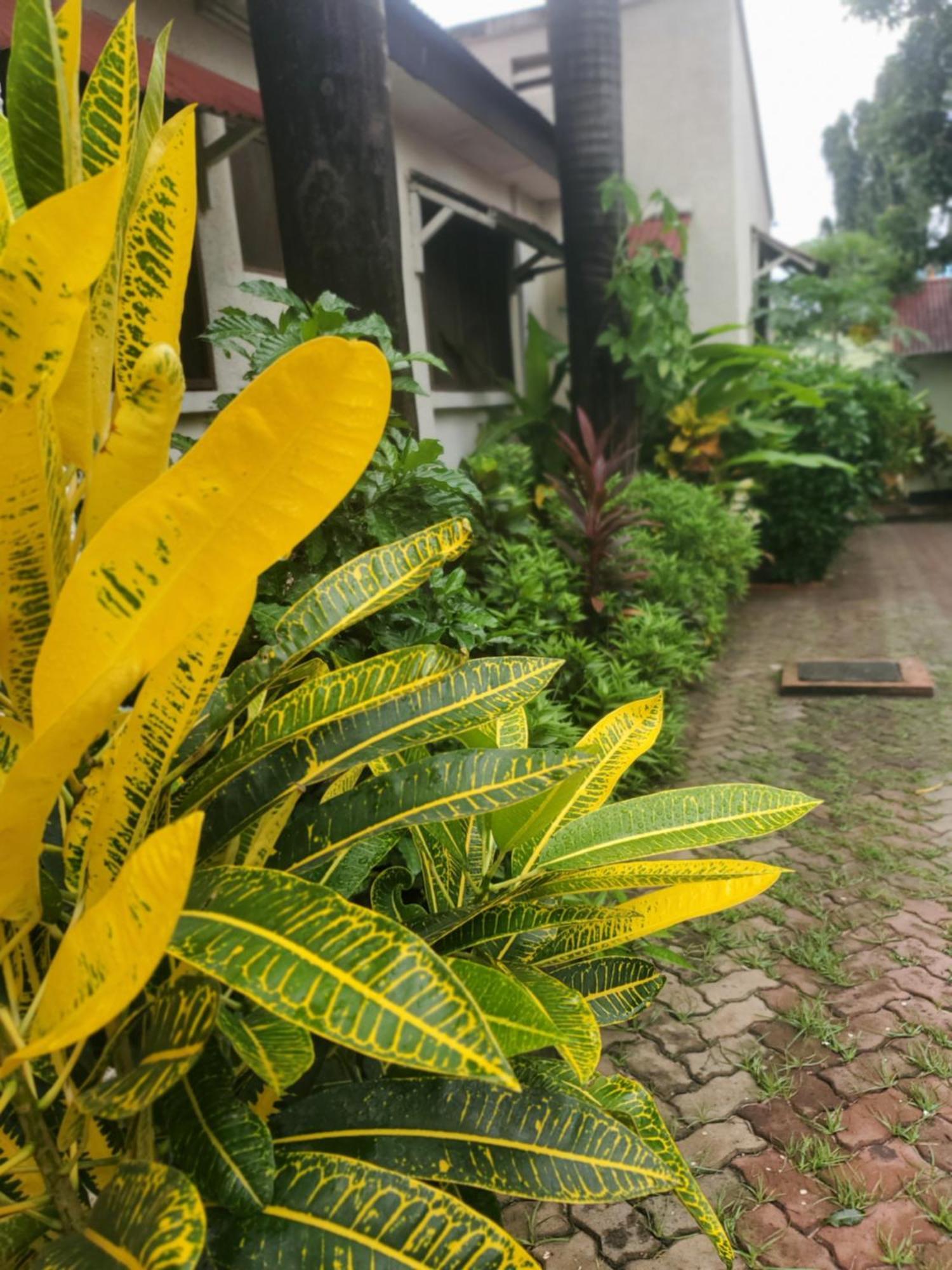 Bed and Breakfast L&J Modern Backpackers Kinondoni Daressalam Exterior foto